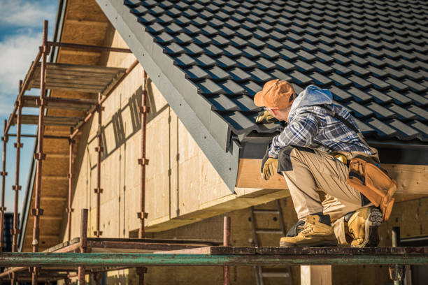 Best Roof Moss and Algae Removal  in St Ignace, MI