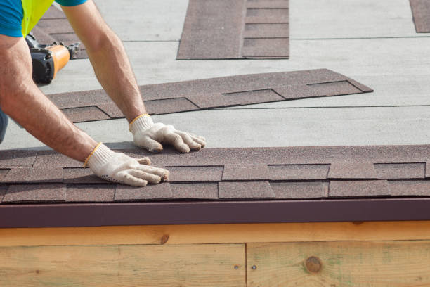 Best Roof Maintenance and Cleaning  in St Ignace, MI